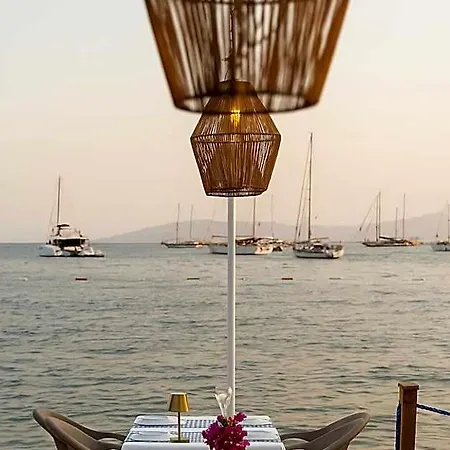 Artemis Hotel 3*