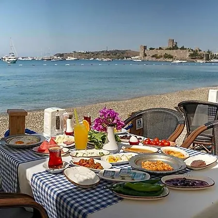 Artemis Hotel 3*