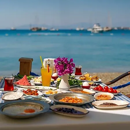 Artemis Hotel 3*
